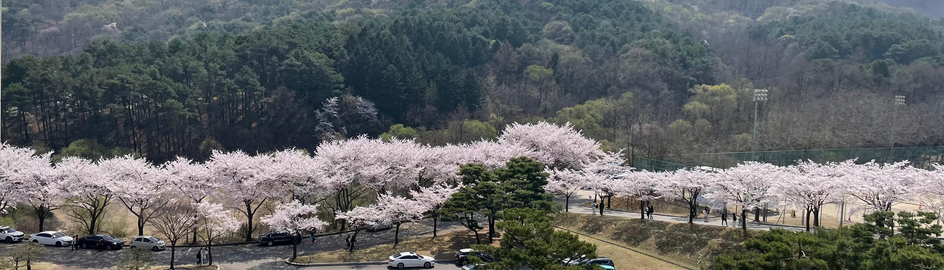 <p>MYONGJI UNIVERSITY</p>             <strong><p><i>반도체·ICT대학 컴퓨터정보통신공학부</i></p><i>정보통신공학전공</i></strong>